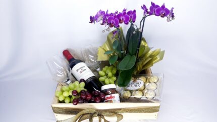 Box Premiun