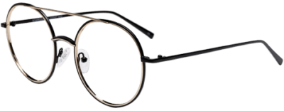 glasses-gallary-img-3.png